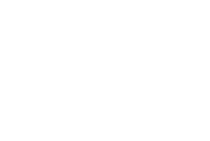 二〇一七年 御宿かわせみは二一周年を迎えます。二一年間、宿を営んでこられましたのは、
			皆様のご愛顧とご支援の賜物です。心より厚く御礼申し上げます。｢二一年｣は、宿の歴史としては浅く、｢まだ二一年｣という想いを私共は抱いております。人で言えば成人したばかりの若者。未熟で、未完成で、成長過程です。創業以来大切にしている「料理とおもてなし」をさらに追求し、磨きをかけて皆様に素敵な旅のひとときをご堪能いただきたいと存じます。スタッフ一同、皆様のお越しを心よりお待ち申し上げております。